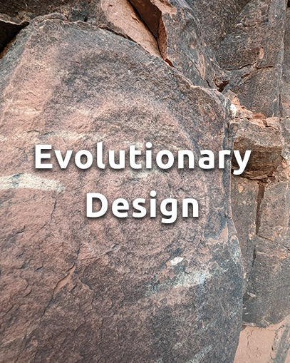 ∾ Evolutionary Design ∾